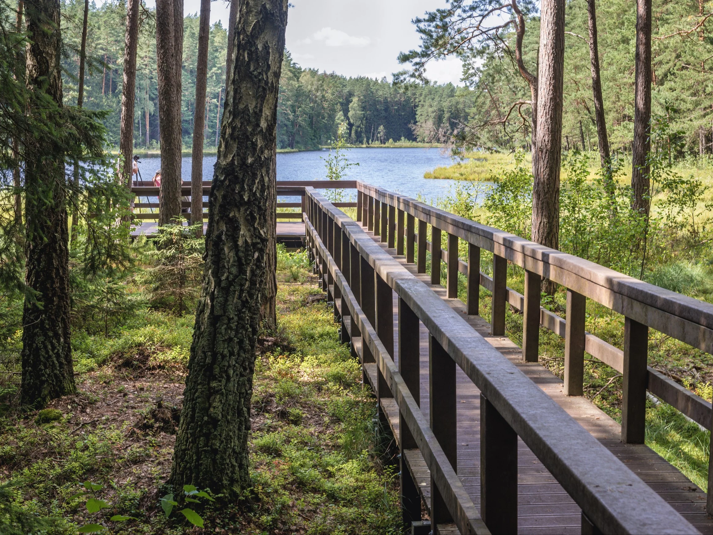 Jezioro Duży Sucharek na Podlasiu