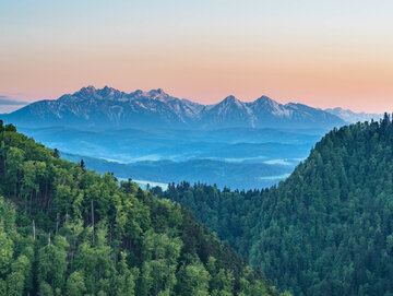 Tatry widoczne z Sokolicy w Pieninach