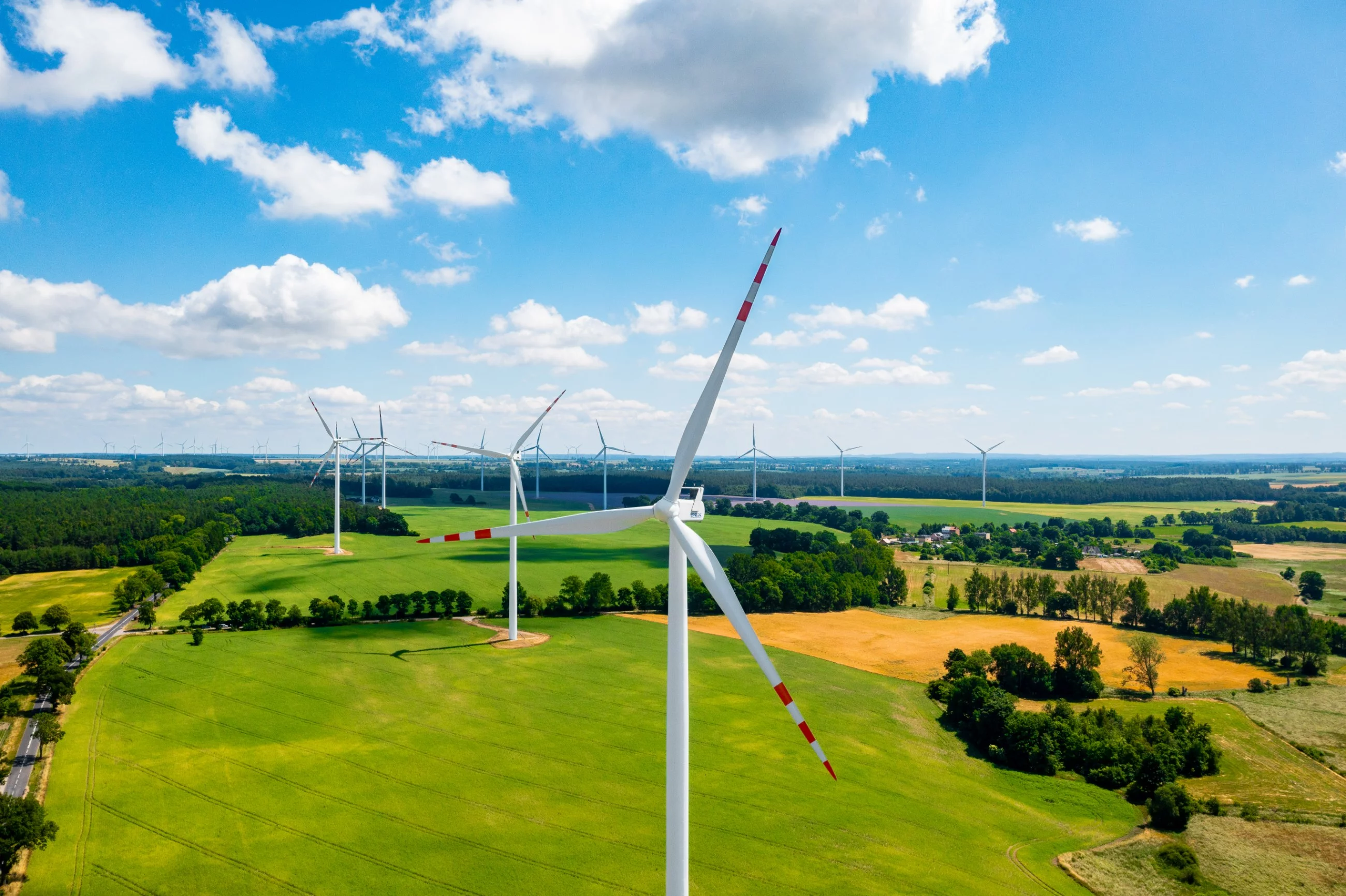 Zielona energia TAURONA wspiera biznes