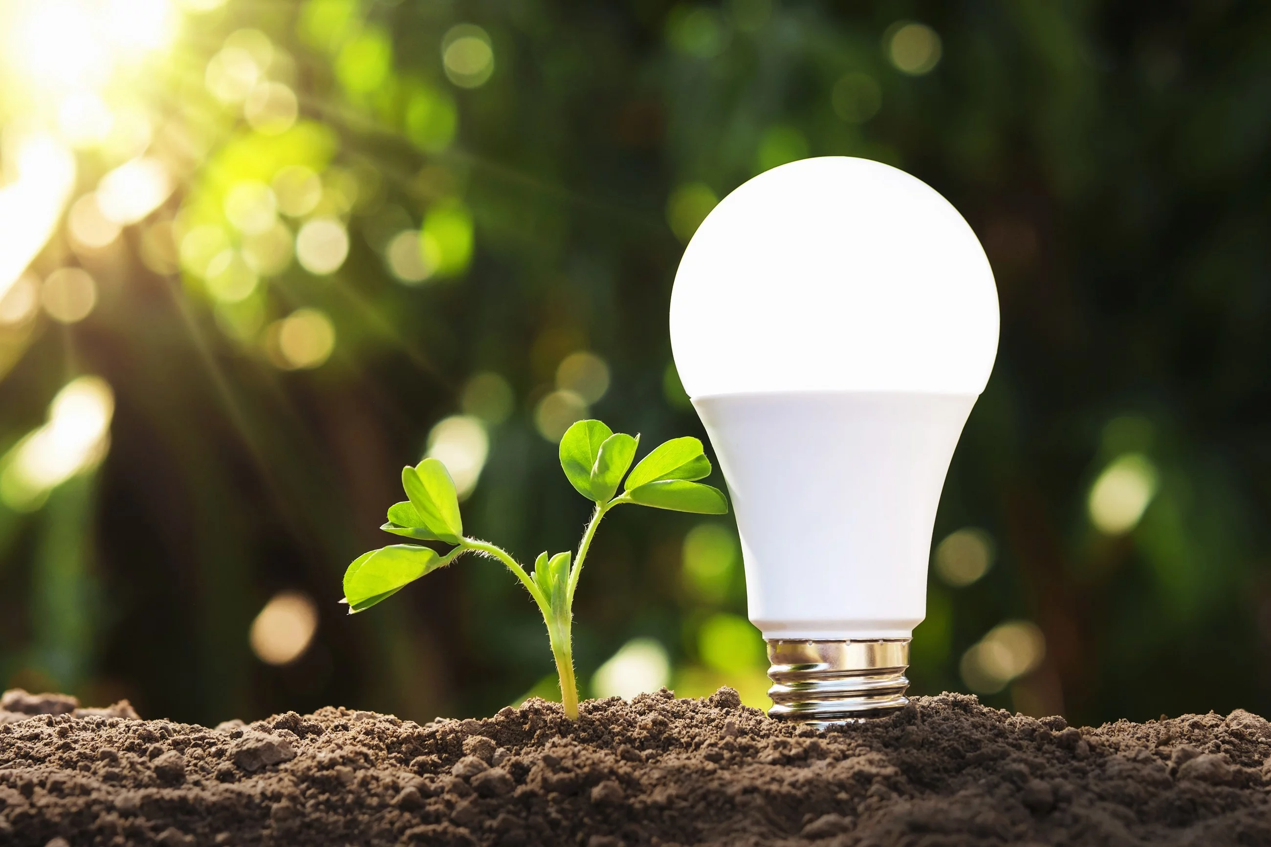 Technologia LED