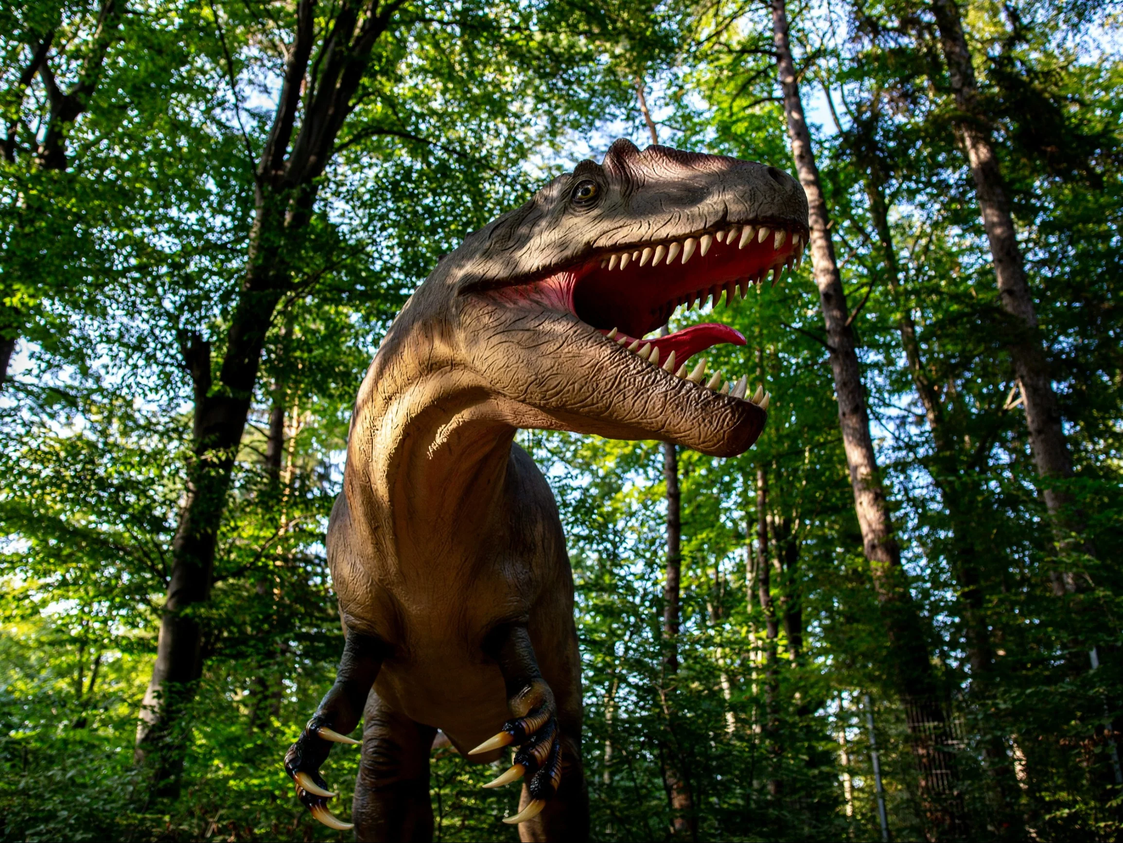 Dinozaur. Zdjęcie ilustracyjne