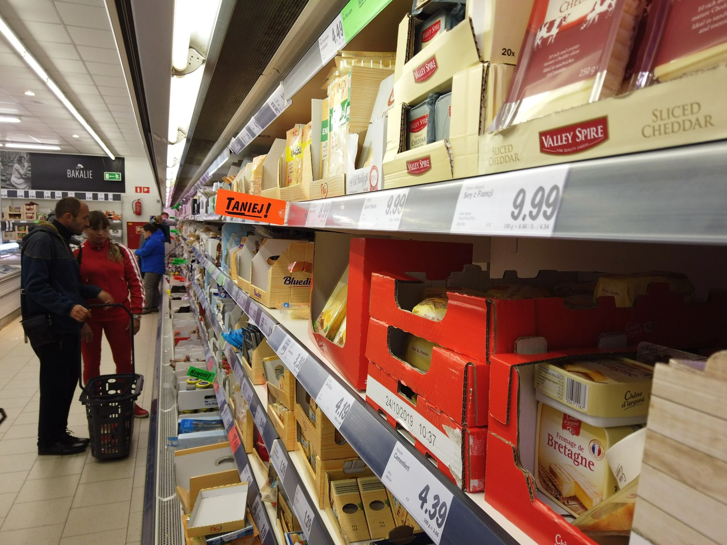 Sklepowa lodówka z serami, zdjęcie ilustracyjne