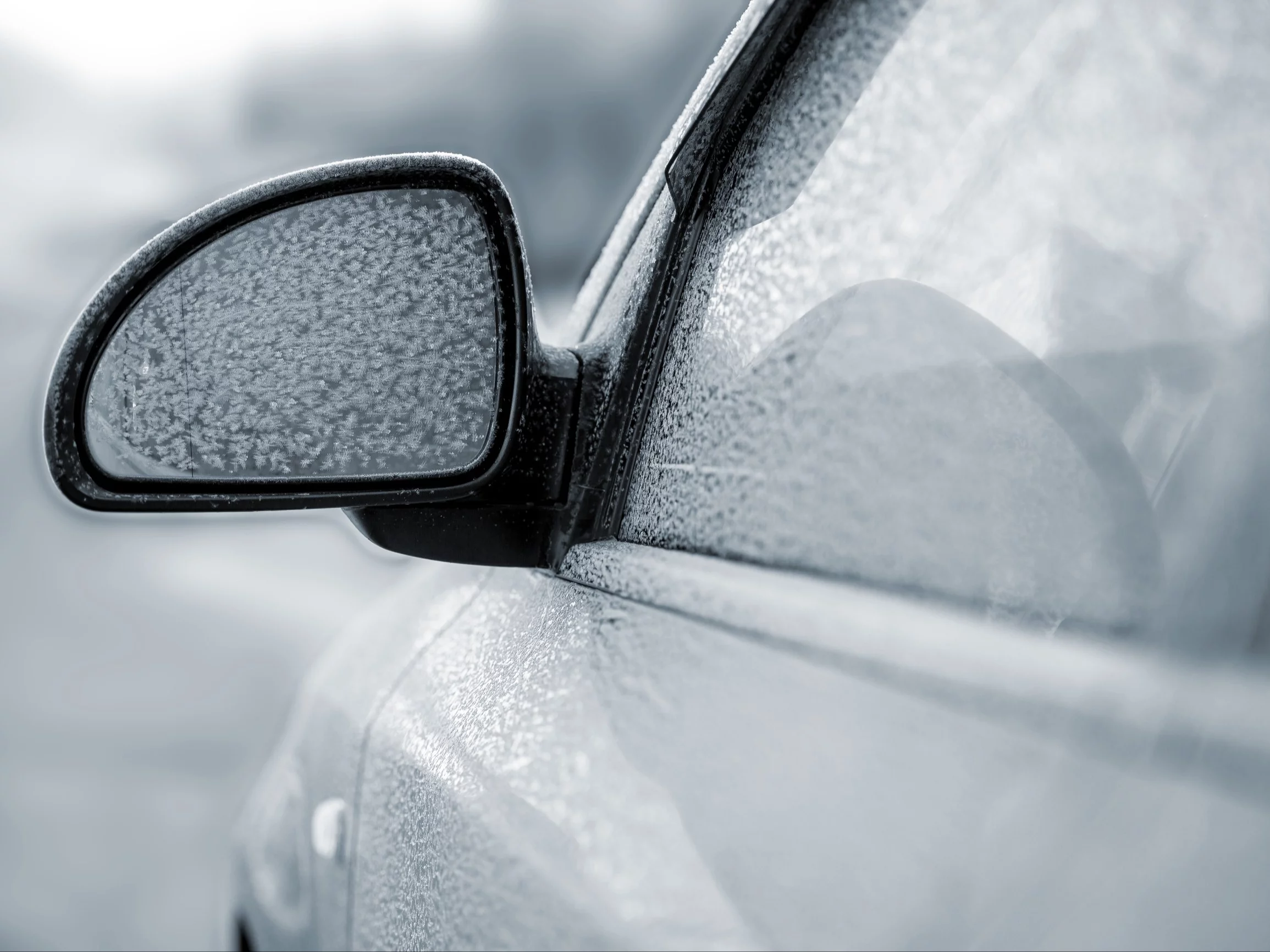 Ten typ aut pokochali Polacy. Imponujący wzrost