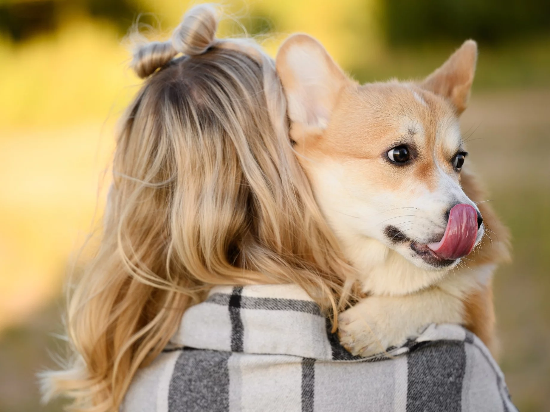 To dzieje się w twoim ciele, gdy głaskasz psa. Naukowcy ujawniają