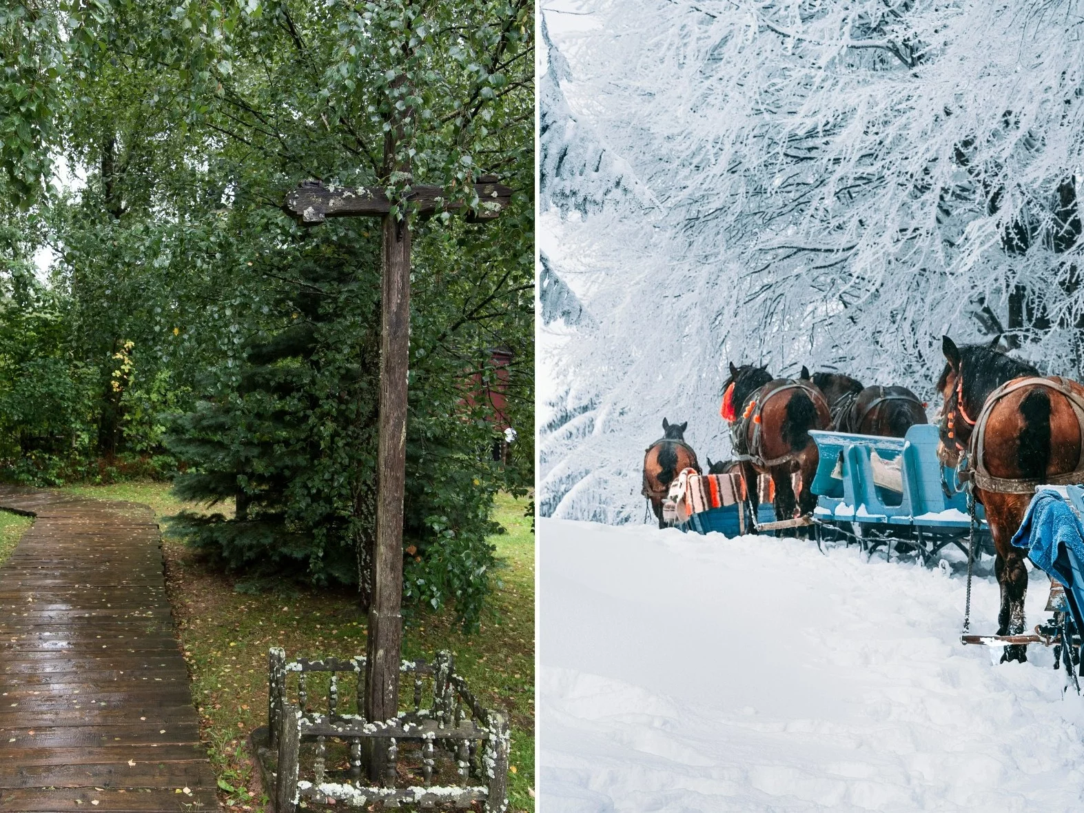 Szymbark i kulig