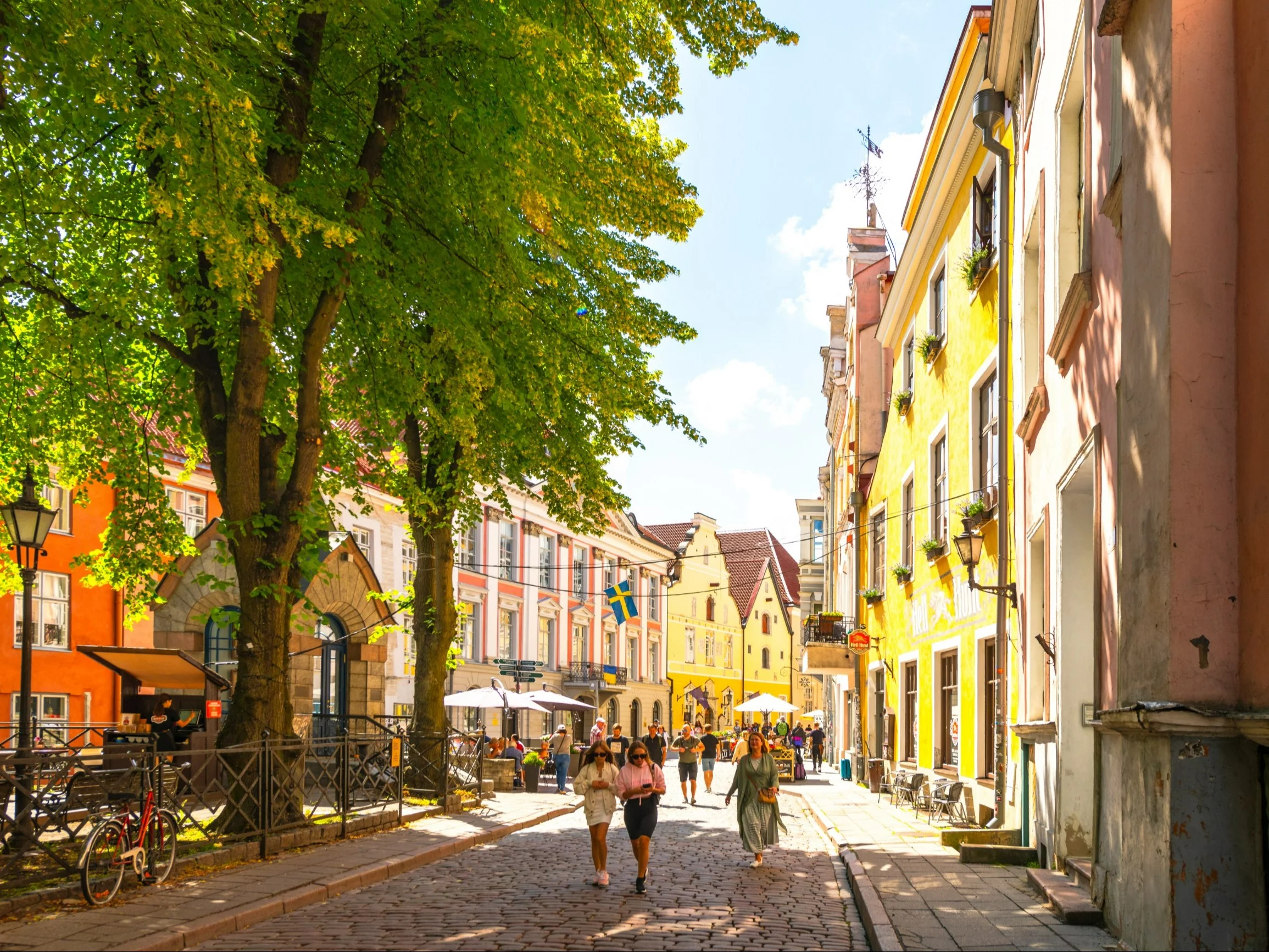 Tallin