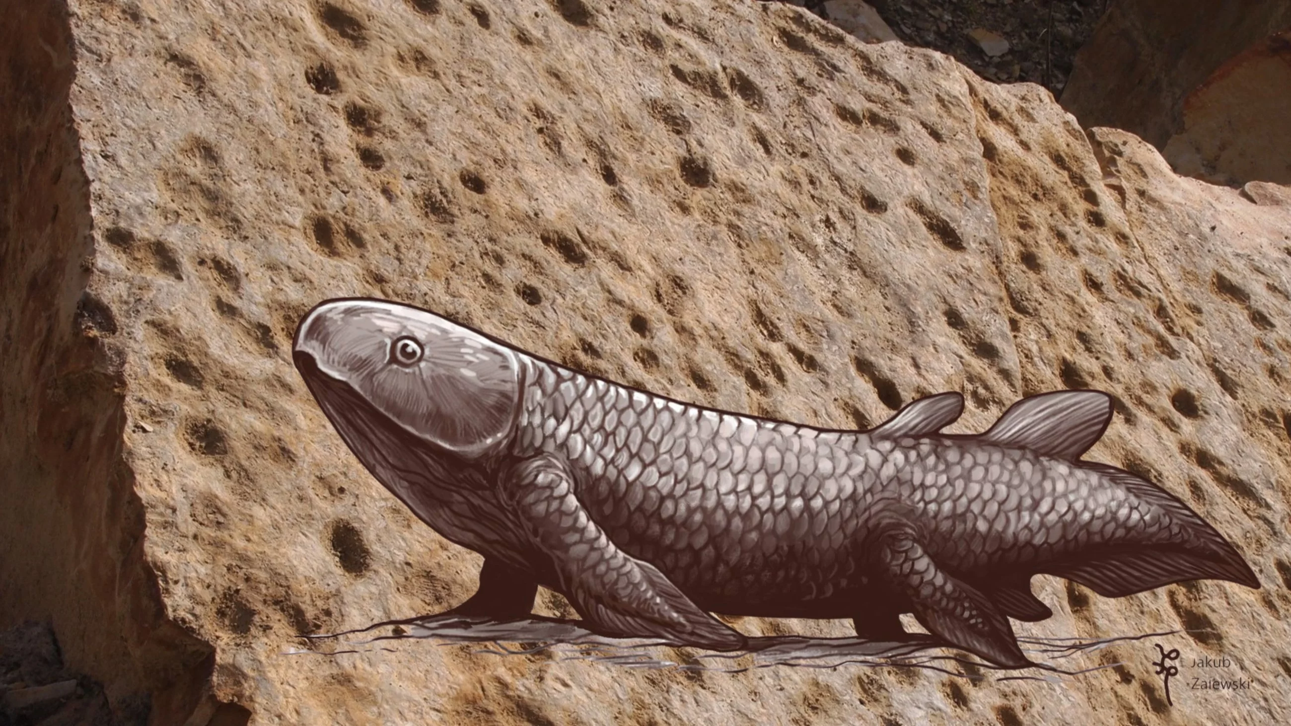 Ryby, które próbowały wyjść na ląd. Odkrycie Polaków w Górach Świętokrzyskich