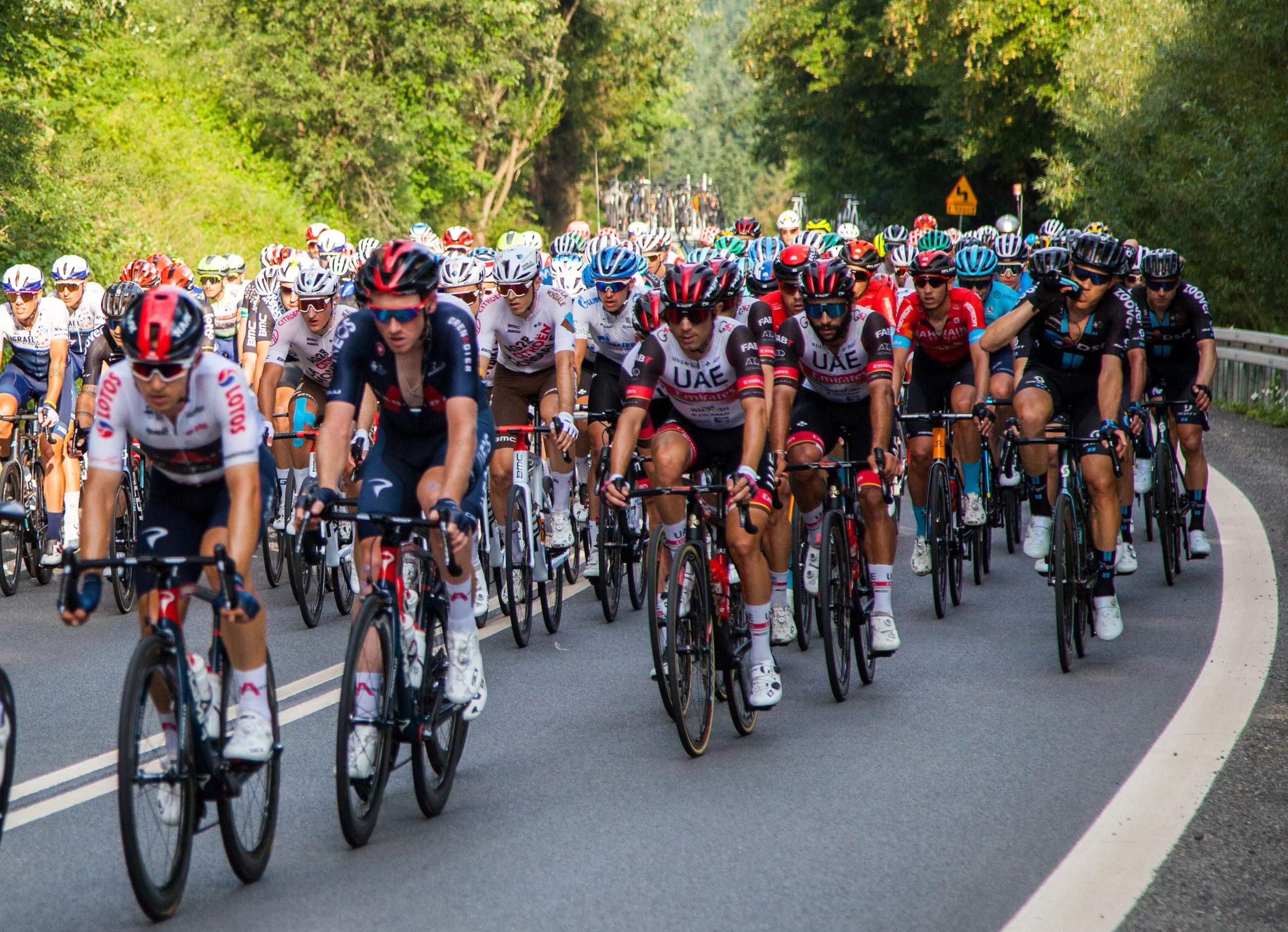 Kolarze podczas Tour de Pologne