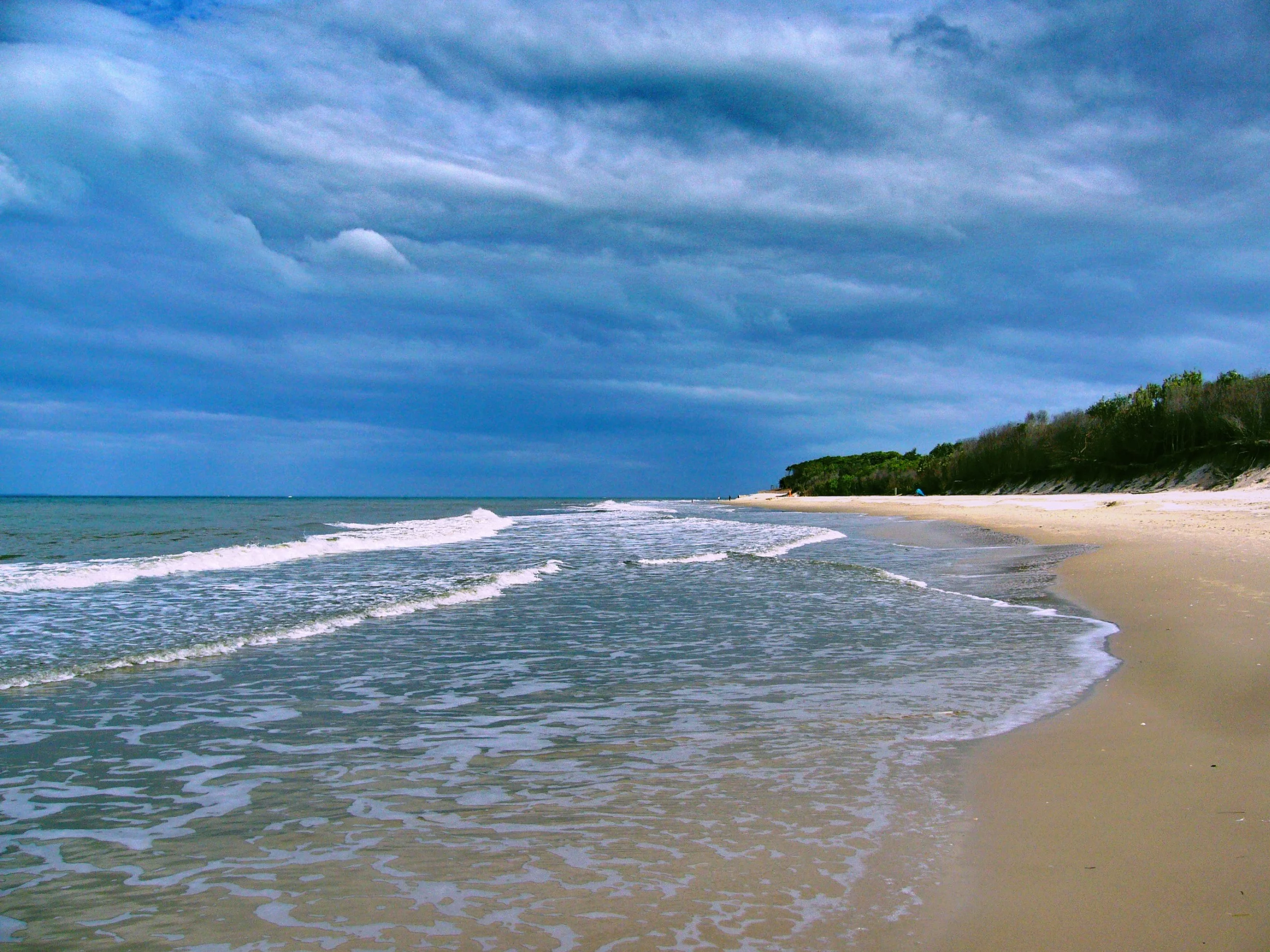 Australijska wyspa Bribie. Zdjęcie ilustracyjne