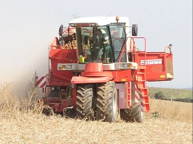 Kombajn do zbierania ziemniaków