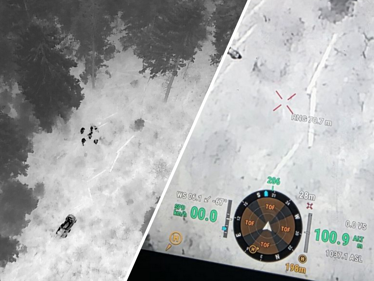 Tragiczna śmierć grzybiarza. „Ciało zabezpieczono do dalszych badań”