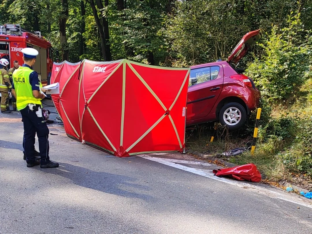 Śmiertelny wypadek pod Gdańskiem. Małżeństwo zginęło na miejscu