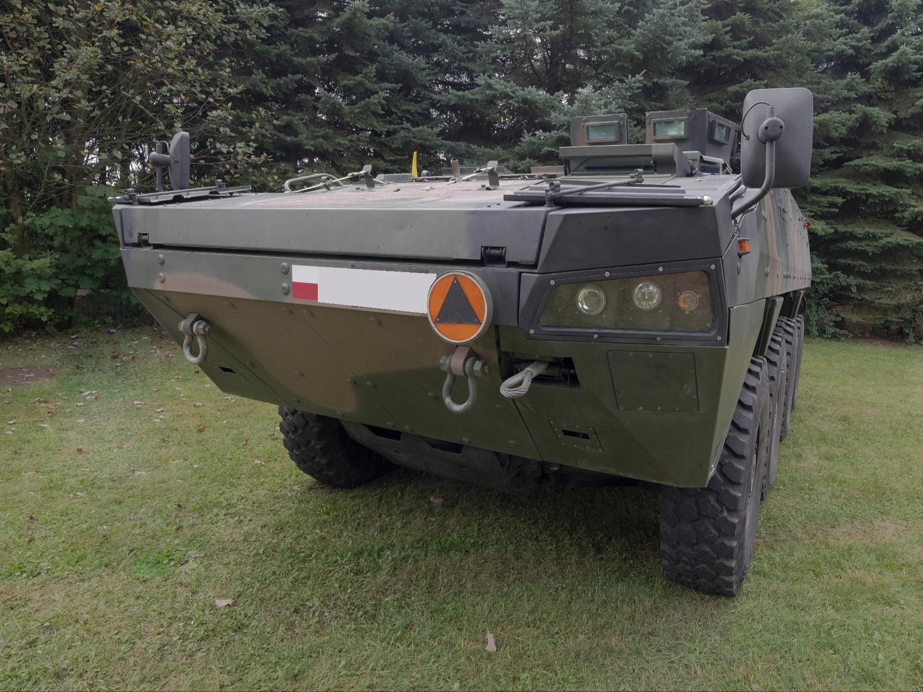 Rosomak, zdjęcie ilustacyjne