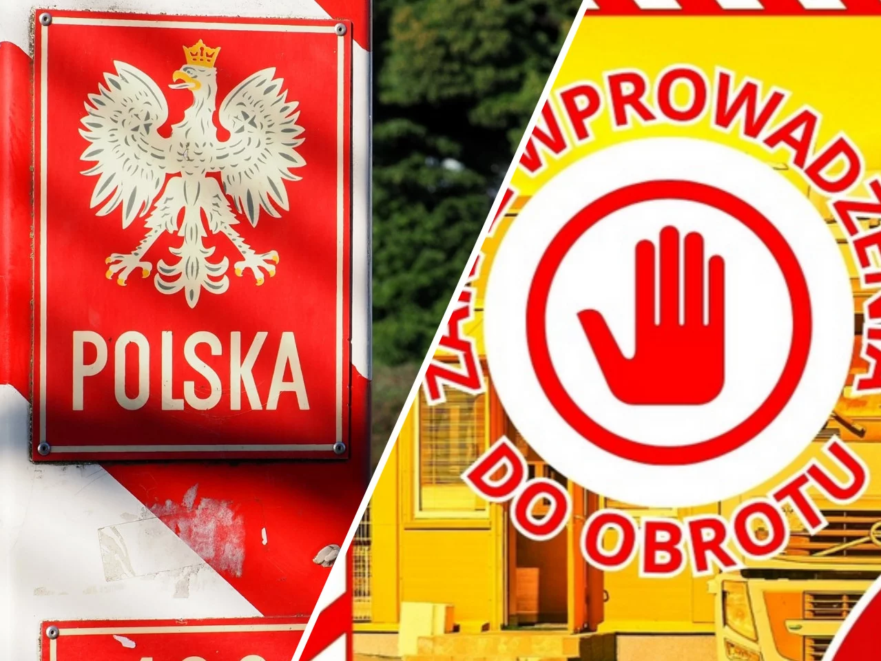 Wstrzymano transport jagód z Ukrainy. Oto co wykryli polscy kontrolerzy