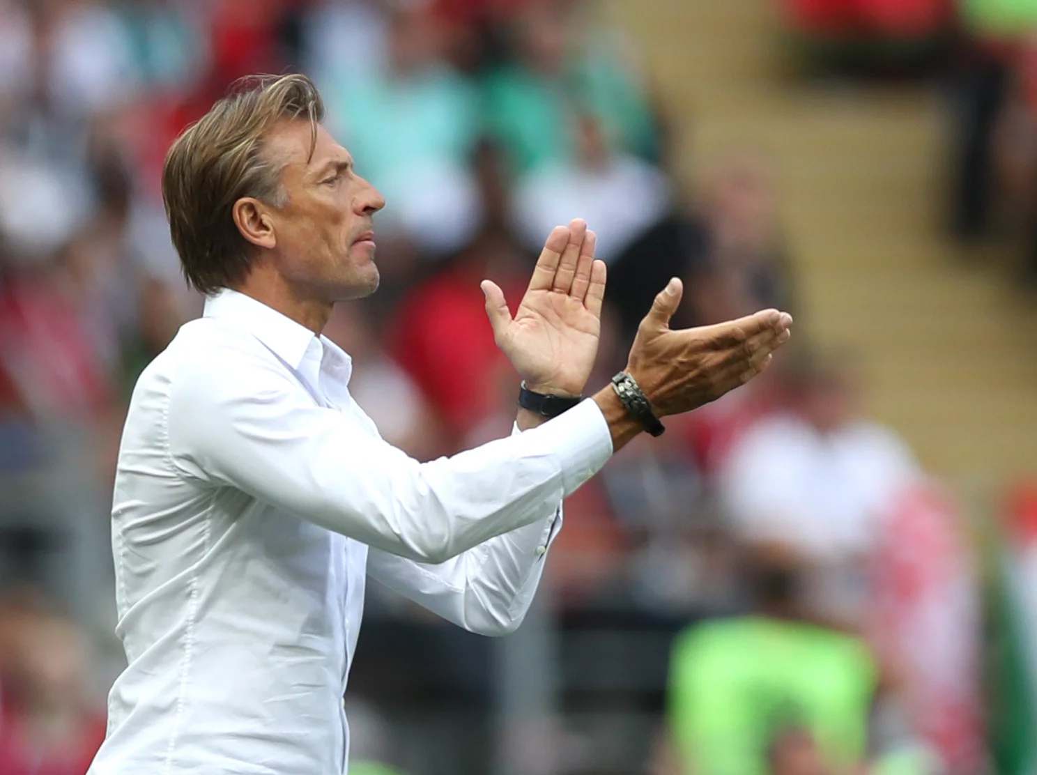 Herve Renard