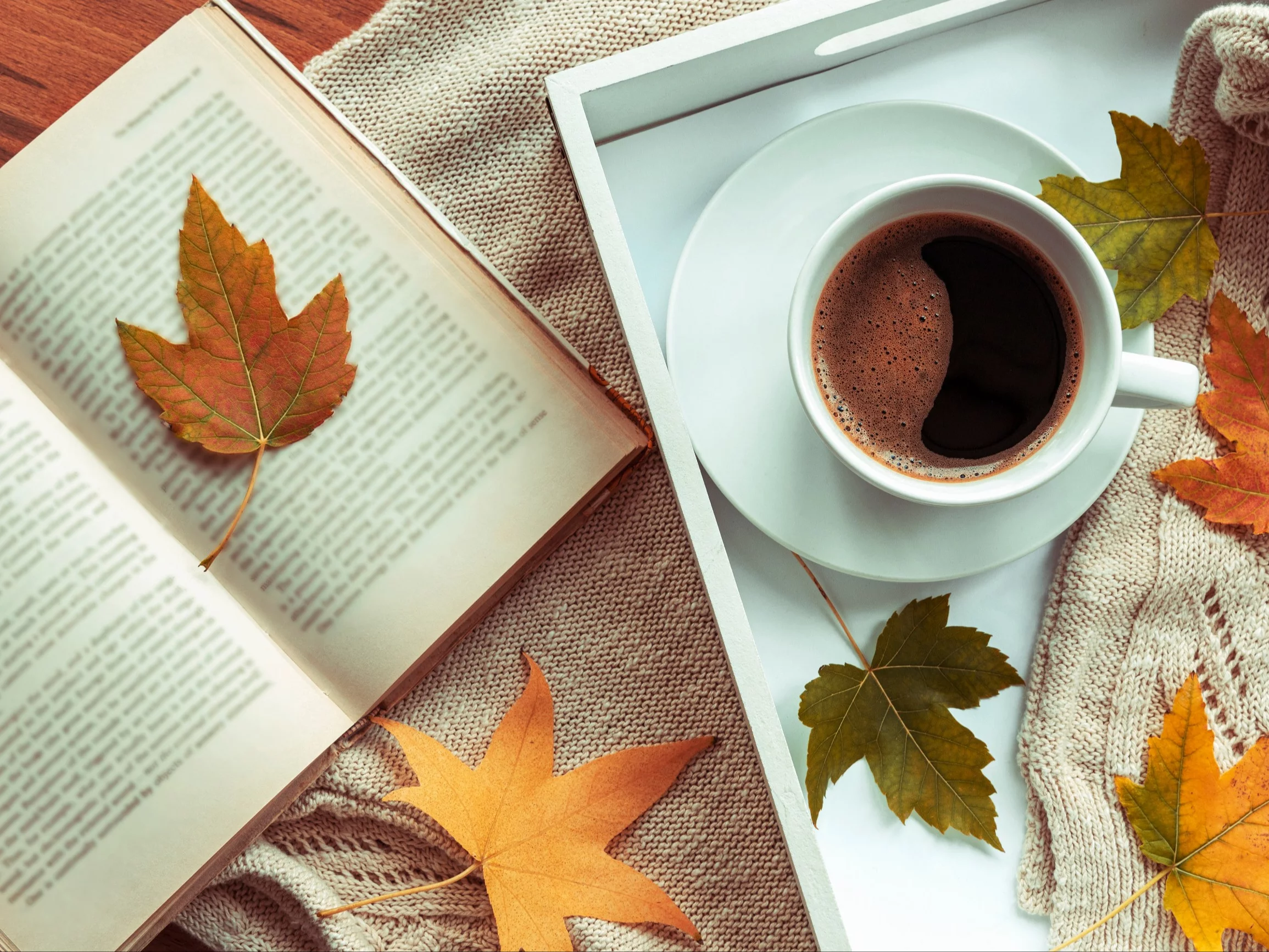 Trudny QUIZ na jesienny poranek. Odpadniesz już na 4. pytaniu!