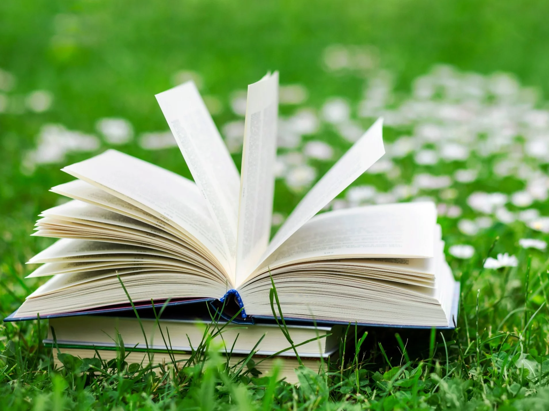 Quiz z polskich przysłów