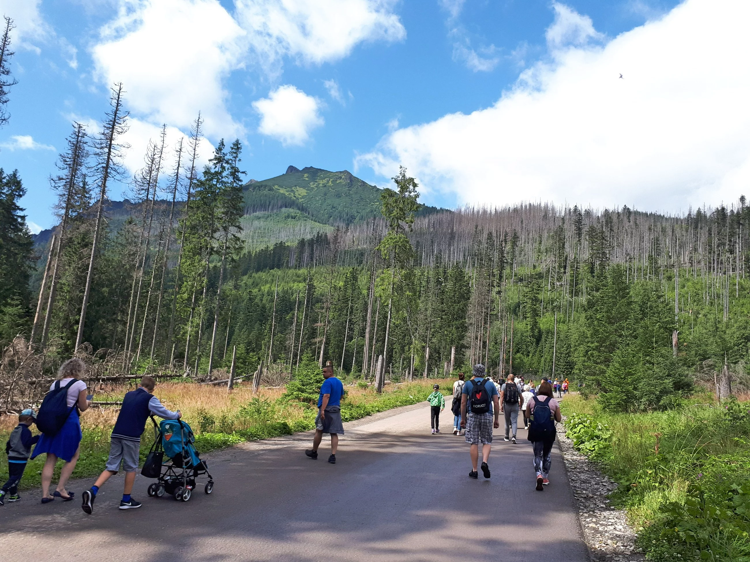 Turyści w drodze na Morskie Oko, zdjęcie ilustracyjne