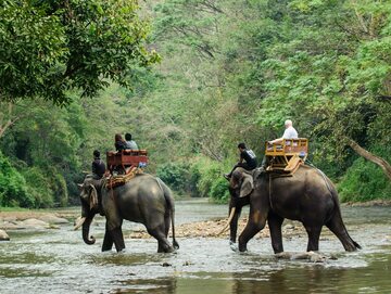 Turyści na słoniach w Tajlandii
