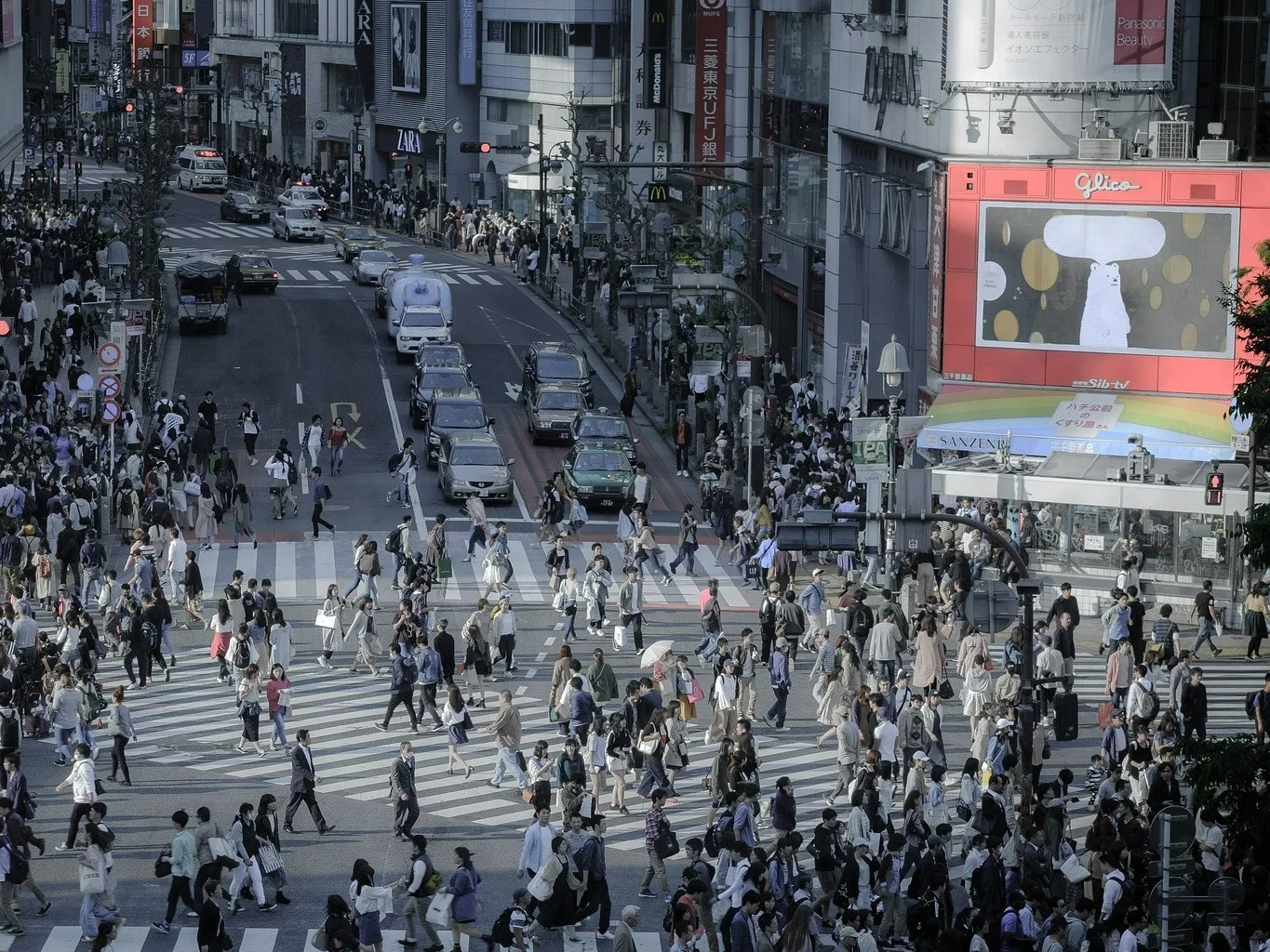 Shibuya w Tokyo