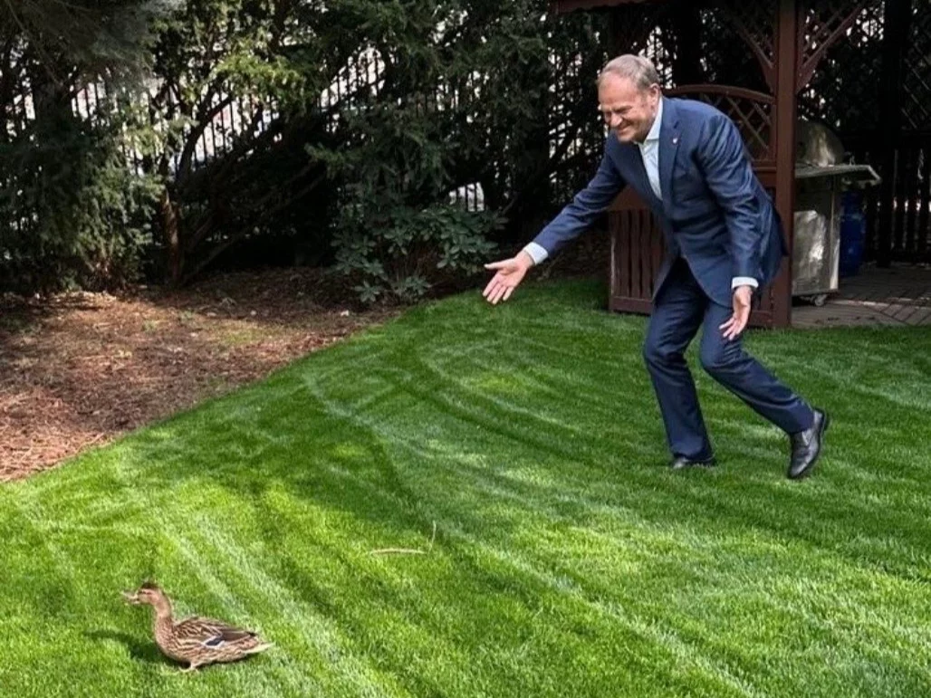 Donald Tusk z kaczką