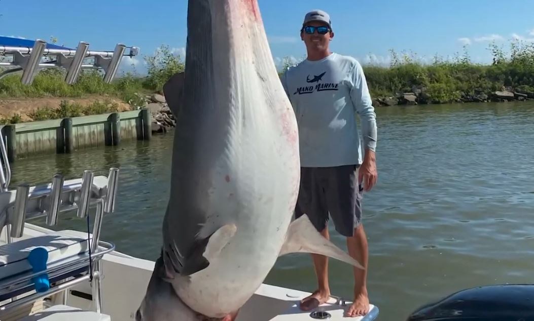 W tych wodach złowiono wiele ogromnych ryb. Oto największe rekordy