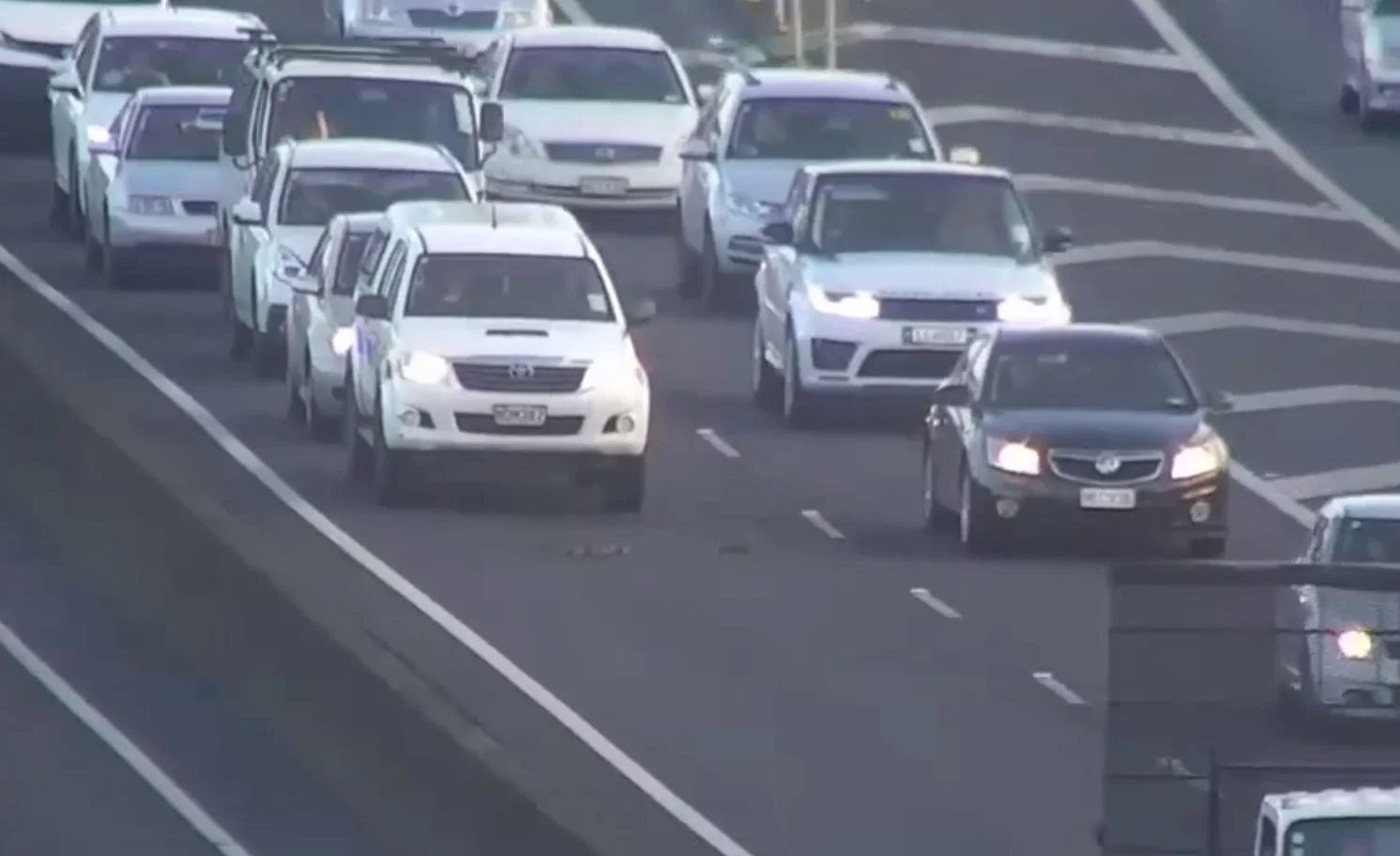 Kaczki przechodzą przez autostradę