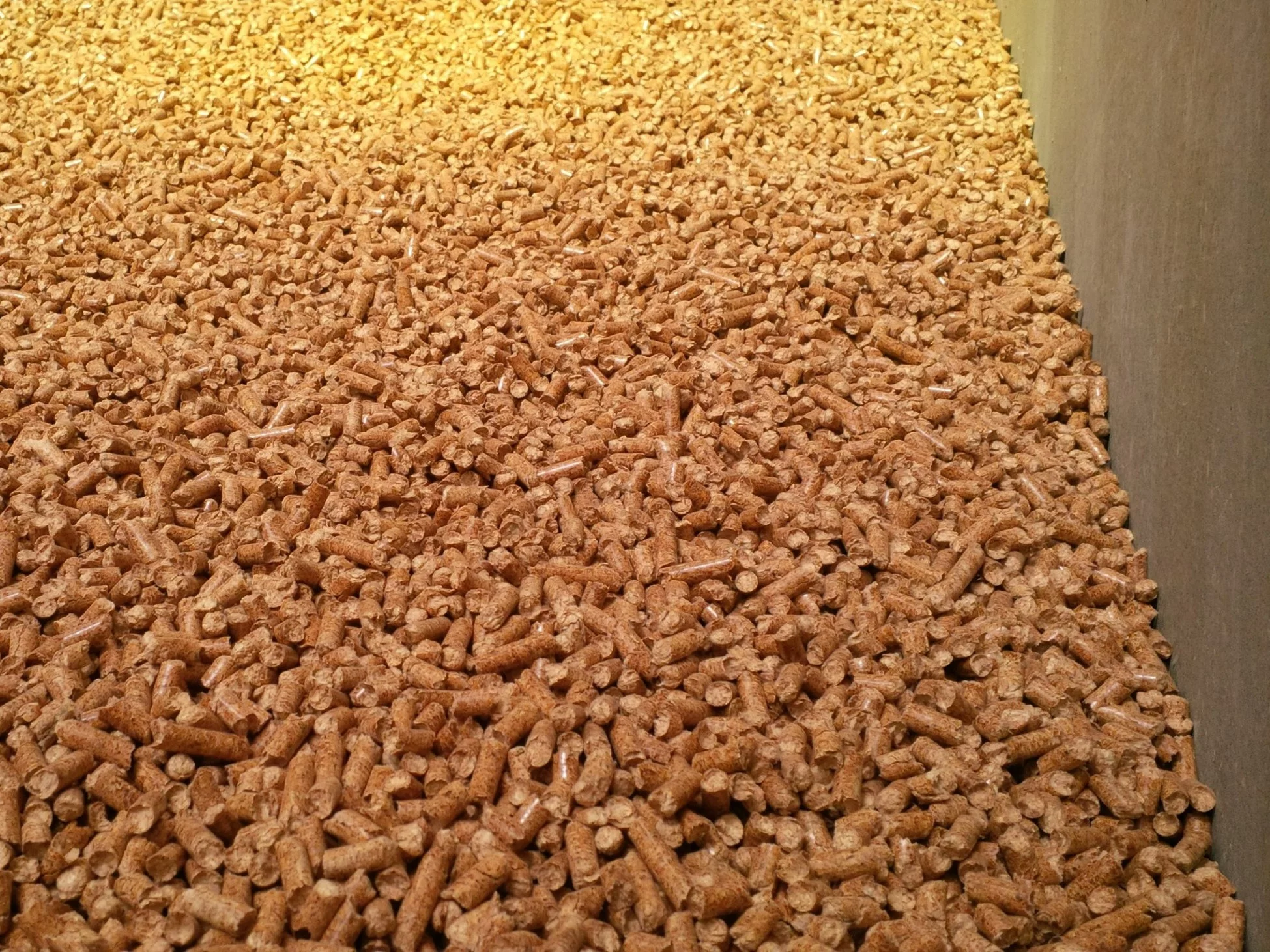 Pellet