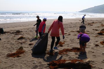 Uczniowie sprzątający plażę