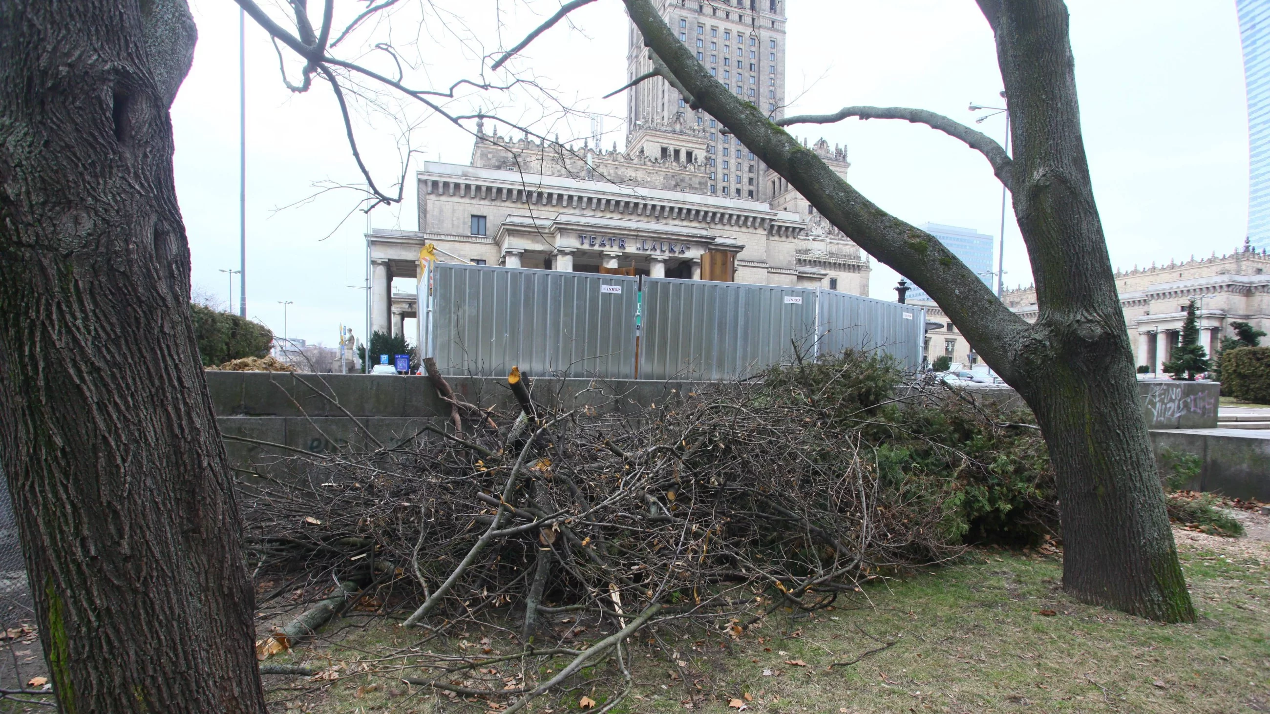 Bójki i alkohol w centrum Warszawy. Tak młodzi Ukraińcy „przejęli” znany park