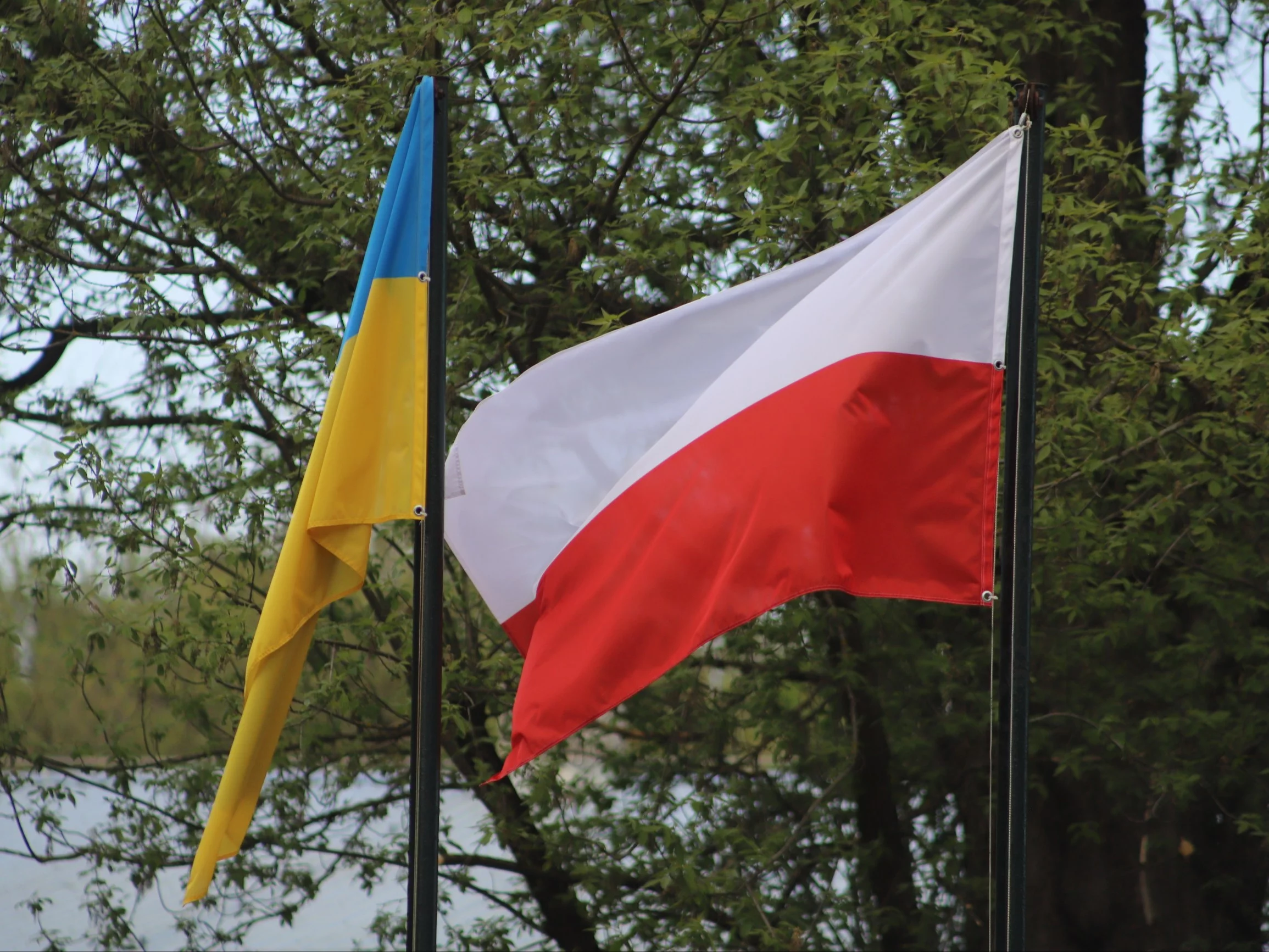 Flagi Polski i Ukrainy