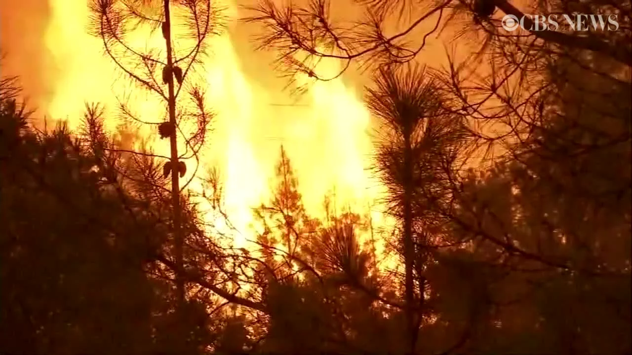 Pożar w Kalifornii