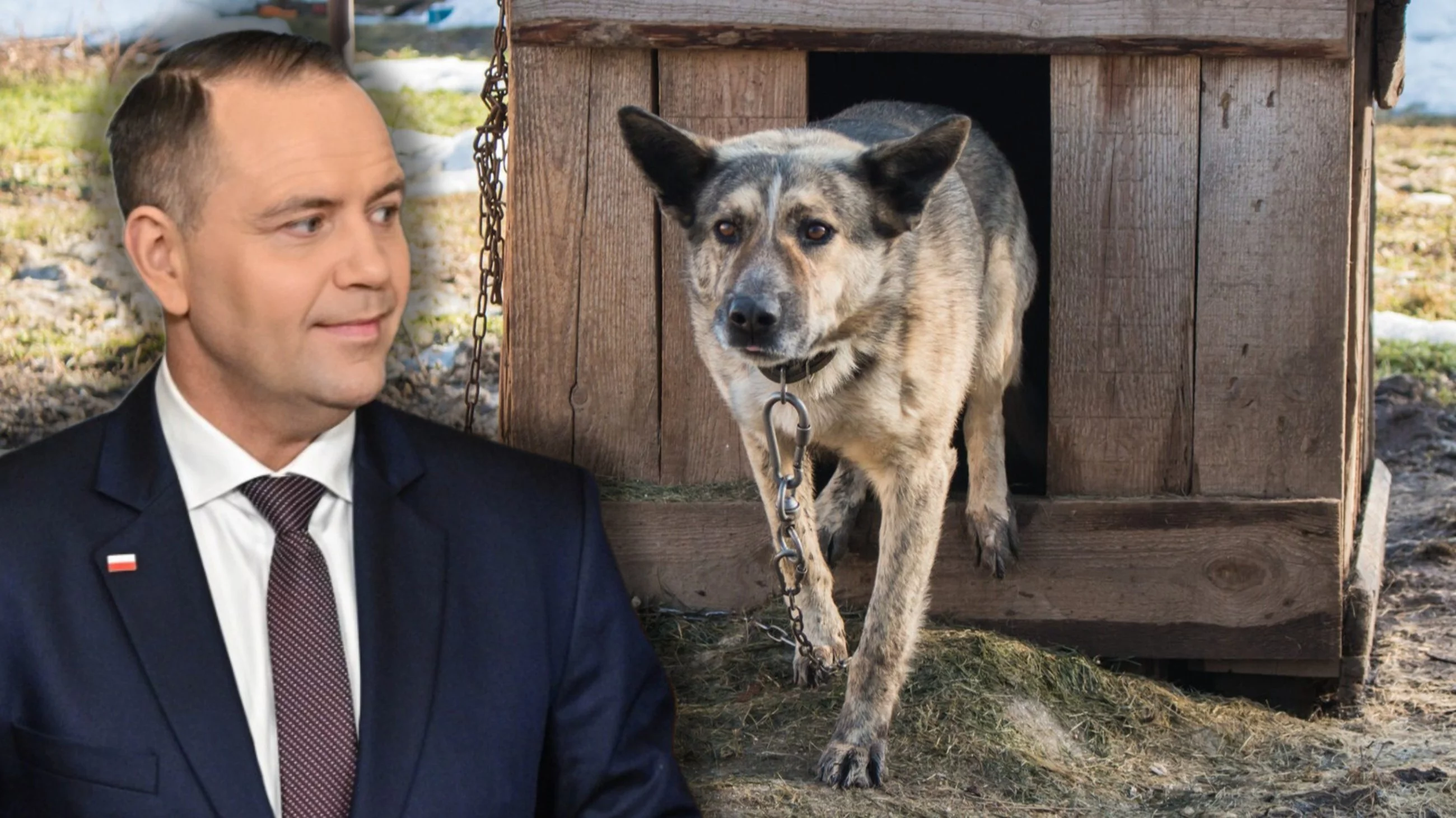 Ustawa łańcuchowa zawetowana. „Psy na łańcuchu gryzą najdotkliwiej”