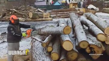 Uwaga! TVN: Godzinami zmuszeni są słuchać pił tnących drewno