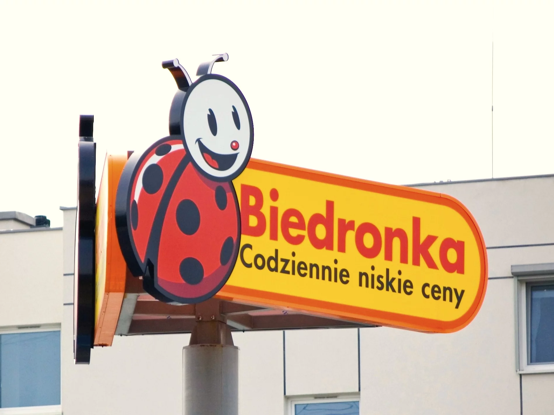 Biedronka