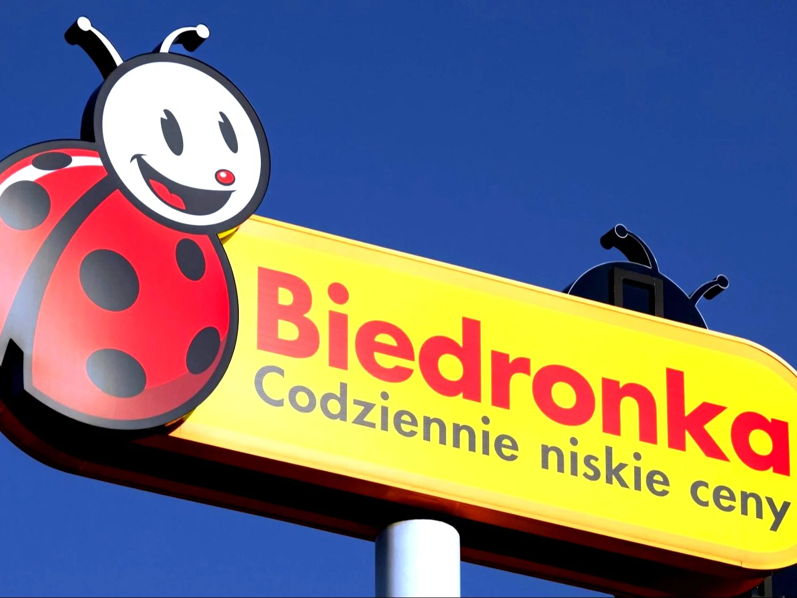 Biedronka