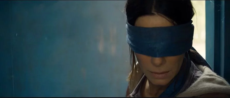 Kadr z filmu "Bird Box"
