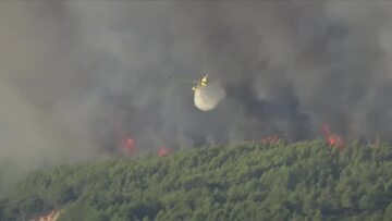 W okolicach Lizbony walczą z pożarami