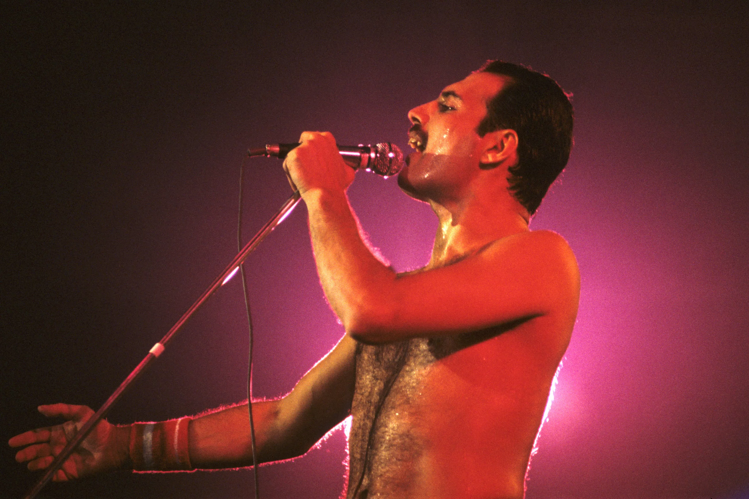 Freddie Mercury