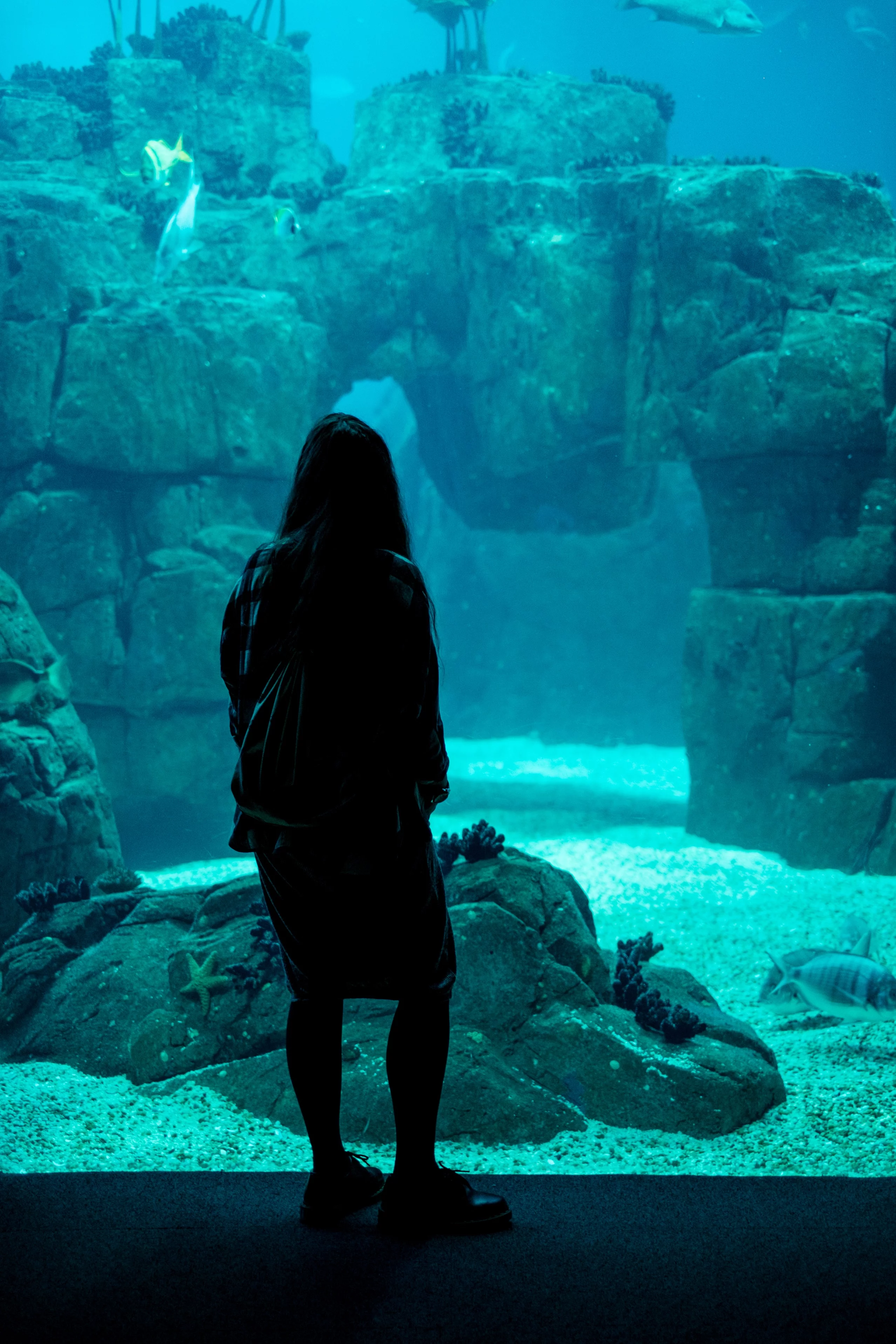 Oceanarium