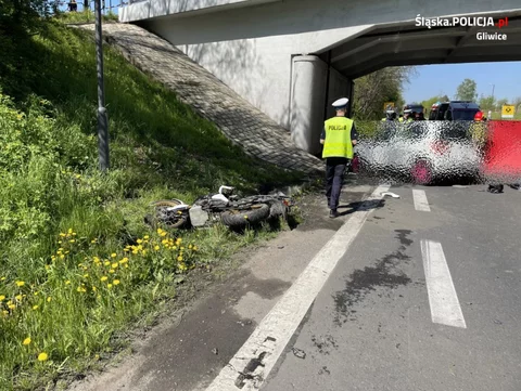 Wypadek na DK88. Zginął prof. Leszek Miszczyk