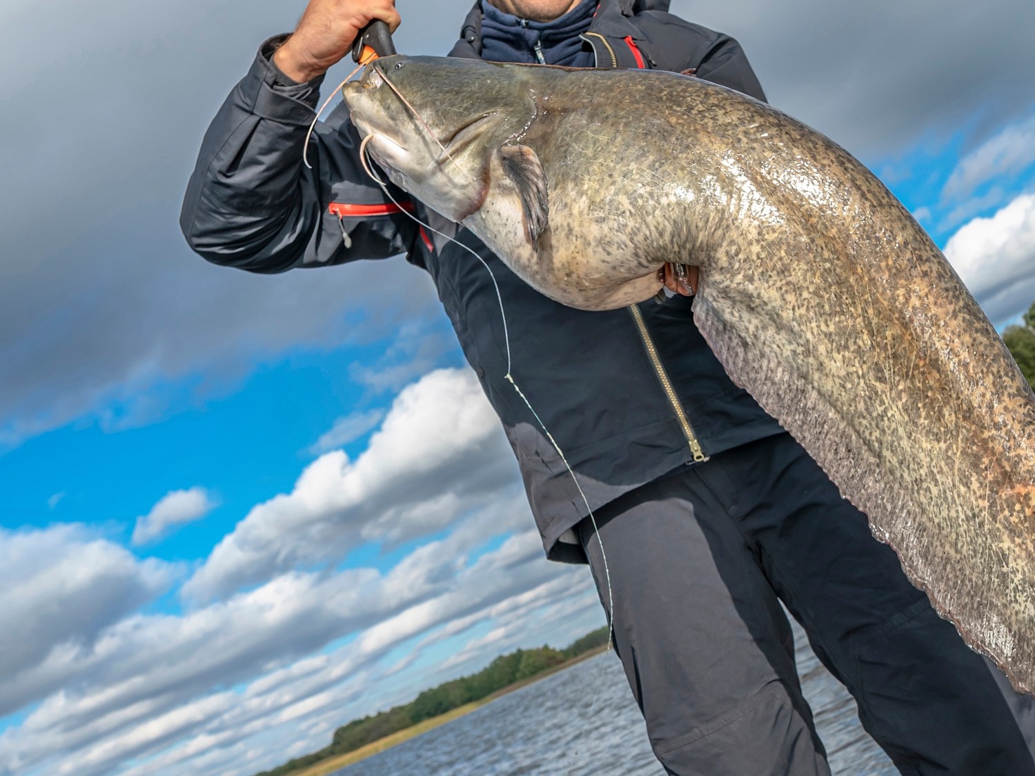 Wędkarze wyciągnęli z wody wielkiego suma. Oto co znaleźli w jego otworze gębowym