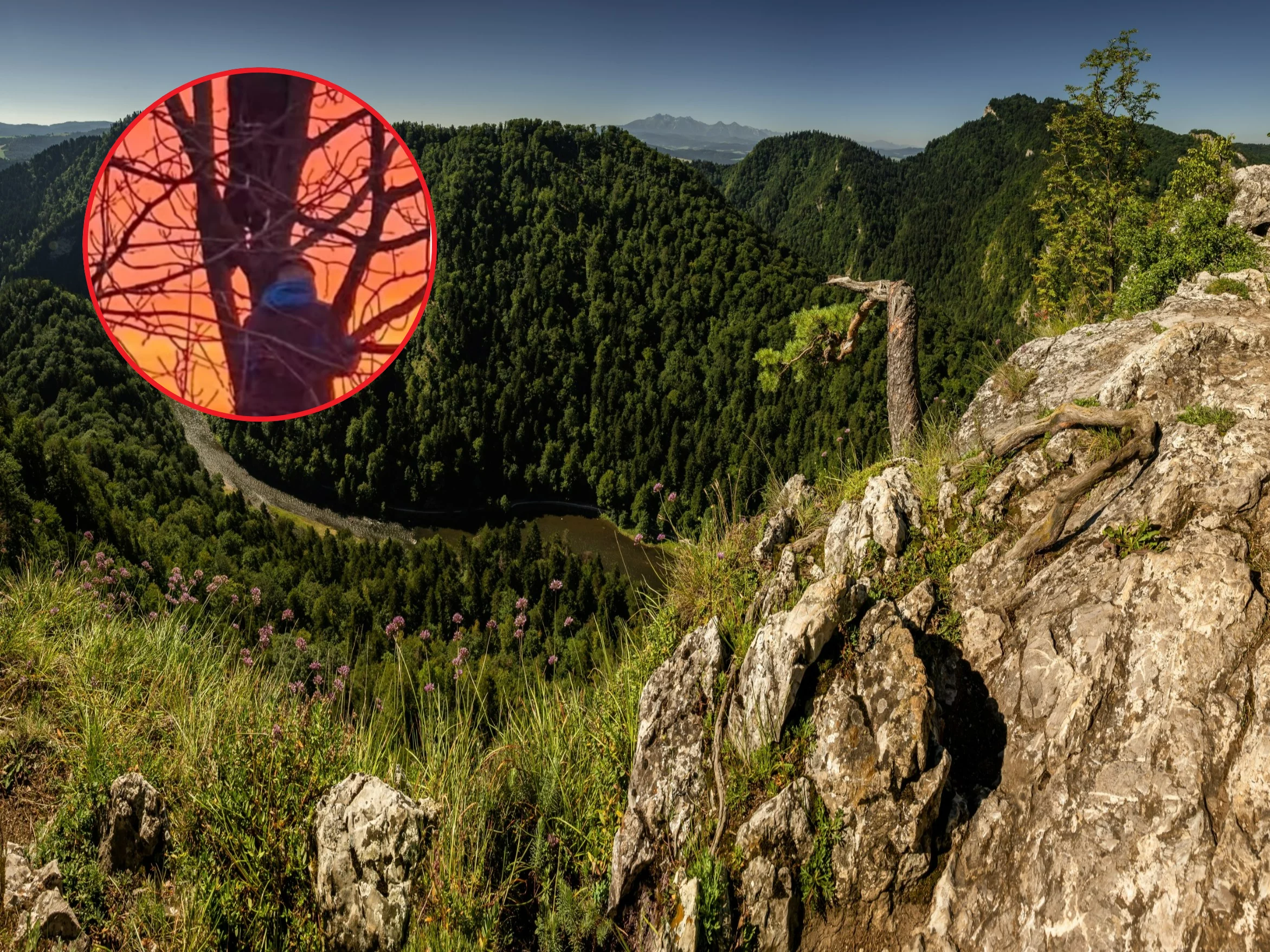 Turyści na Sokolicy