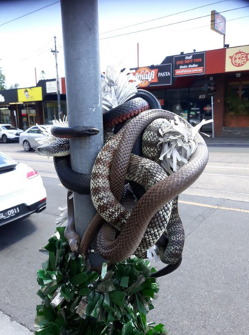 Węże na słupie drogowym