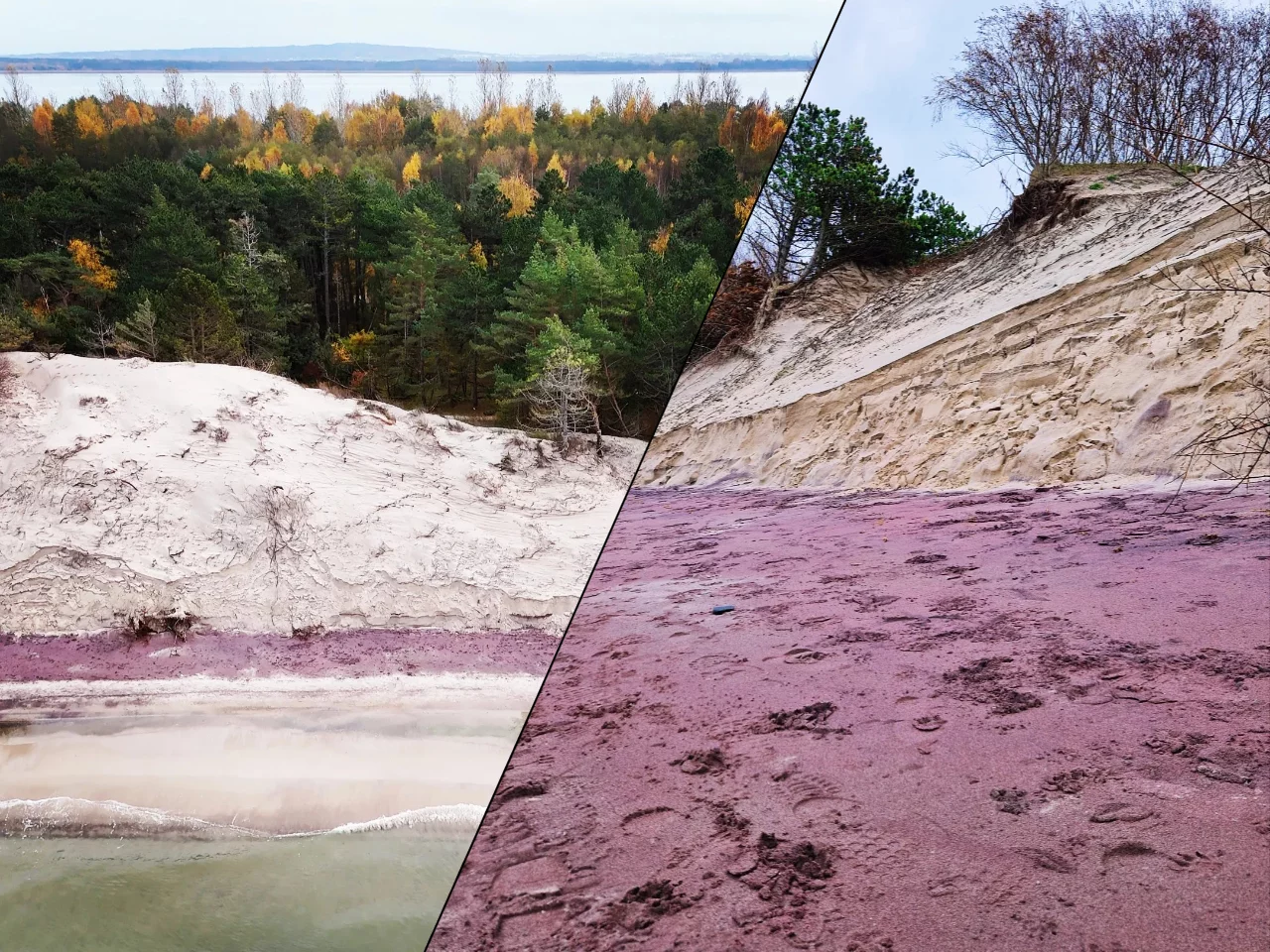 Widok jak z bajki. Plaża nad Bałtykiem zmieniła kolor