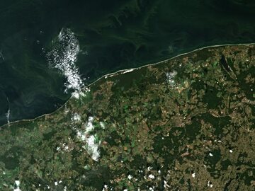 Widok satelitarny na polskie wybrzeże z 29 czerwca. Widoczne zielone sinice