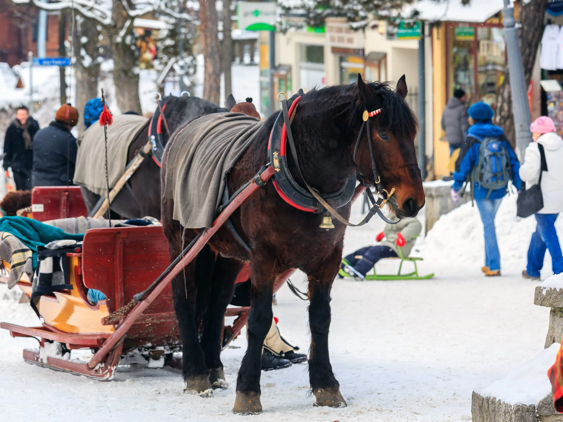 Zakopane