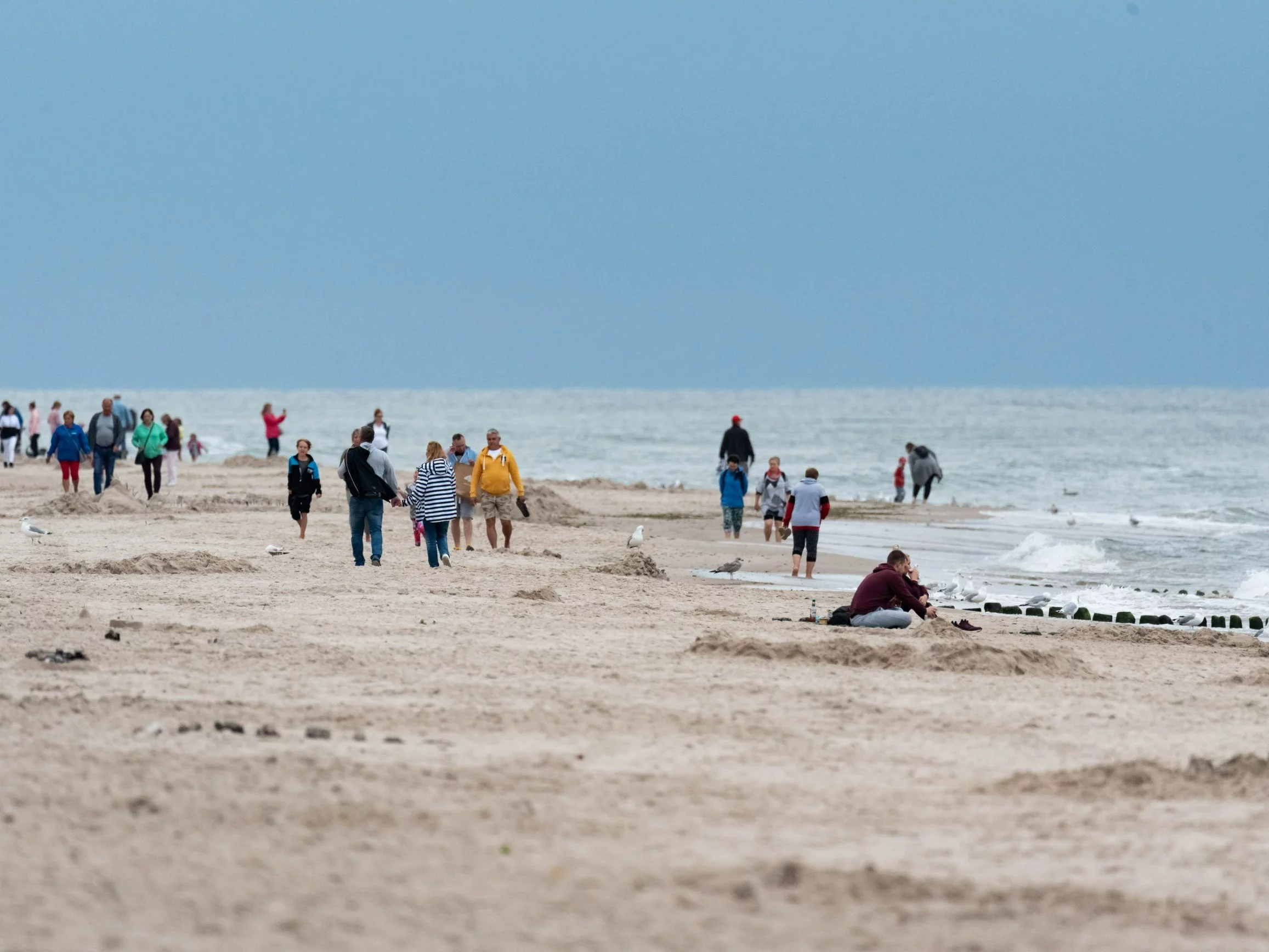 Plaża w Dąbkach