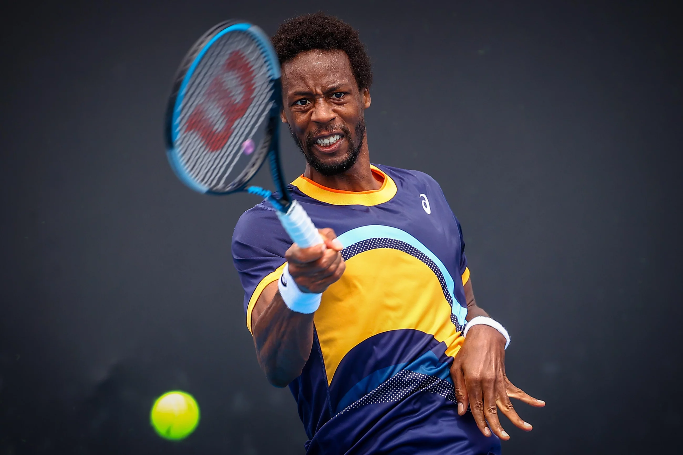 Gael Monfils