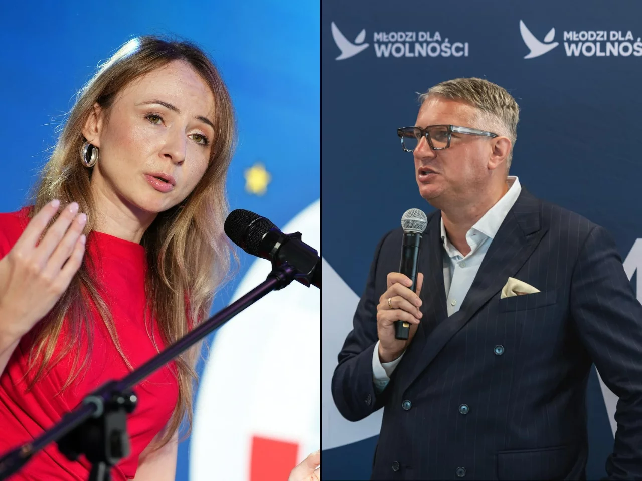 Agnieszka Dziemianowicz-Bąk, Przemysław Wipler